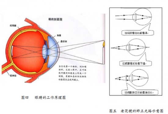 美麗島眼鏡：老花鏡不可隨意亂帶，需要在專(zhuān)業(yè)驗(yàn)光后科學(xué)配制
