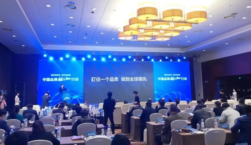 定了！美麗島進(jìn)了國家隊(duì)，新華社專訪